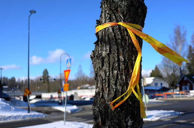 Red and yellow ribbon on a tree 