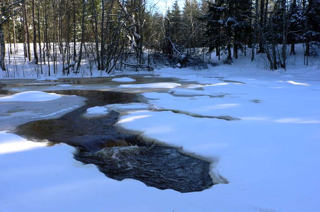 River at winter